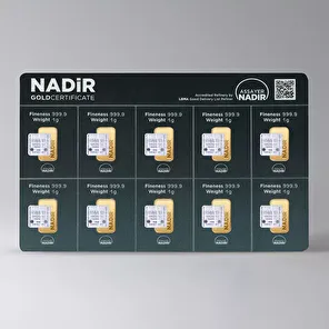 NadirGold 10 Gr Kumbara 999.9 - 2